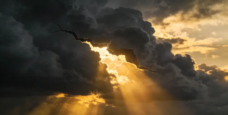 张家口肺癌8基因突变检测（组织）图片1