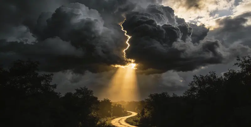 肺癌8基因突变检测（组织）图3