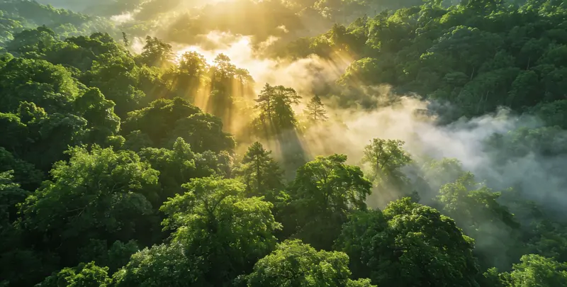 张家口肺癌靶向120基因检测（组织）图片1