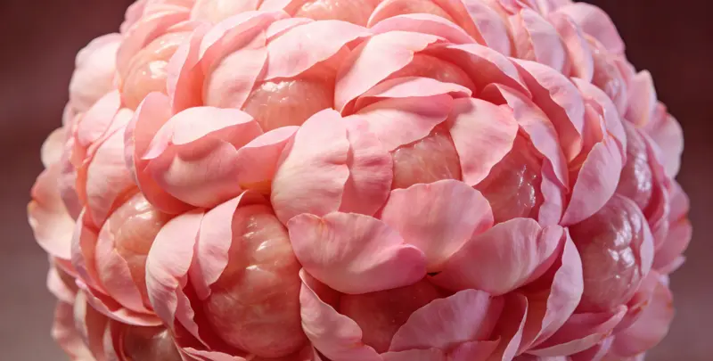 张家口BRCA1/2乳腺癌卵巢癌基因检测图片1